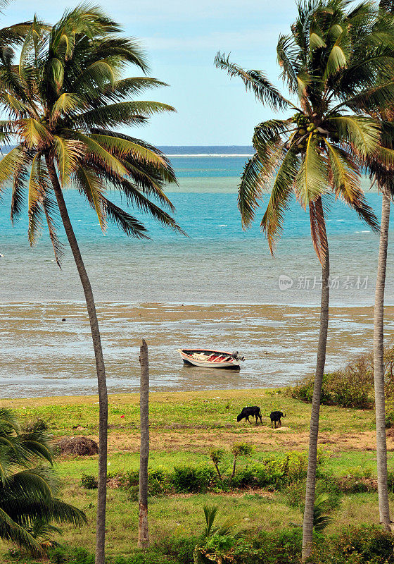 毛里求斯罗德里格斯岛，Anse Mourouk，椰子树和珊瑚湖